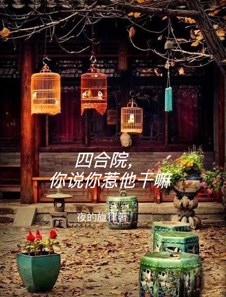 四合院，你說你惹他幹嘛